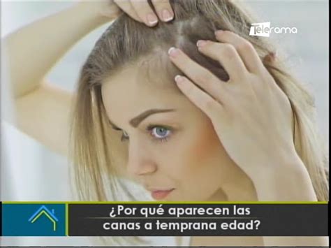 canas en la vagina|A qué edad aparecen las canas en el pubis: todo lo que debes saber.